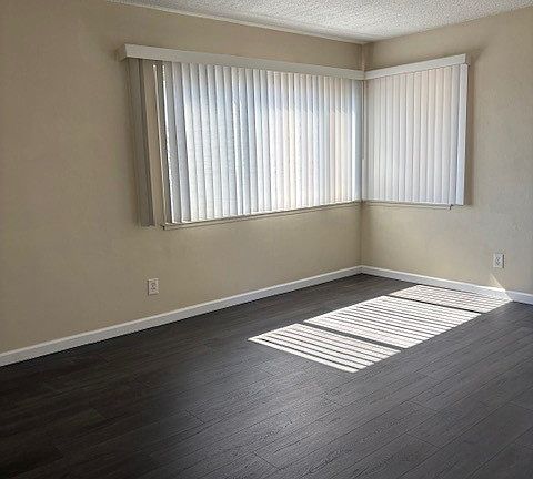 Living room windows