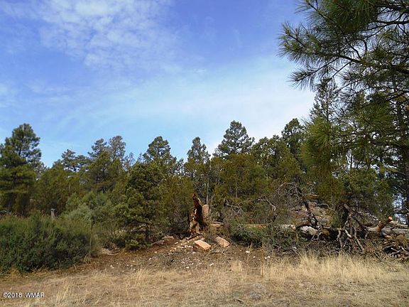 3rd image of 2820 Pine Hill Dr