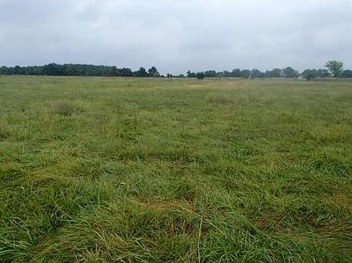 2nd image of 1351 Pawnee Rd
