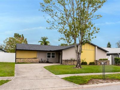 3237 Black Pine Ave, Winter Park, FL, 32792