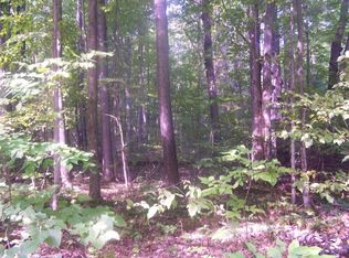 1082 Old School Rd, Indian River, MI 49749