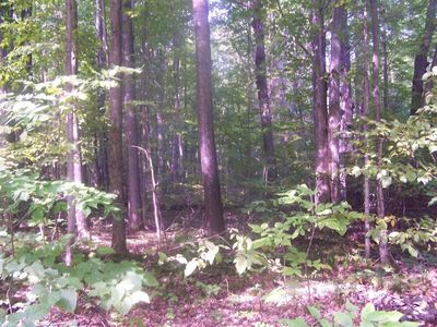 1082 Old School Rd, Indian River, MI, 49749