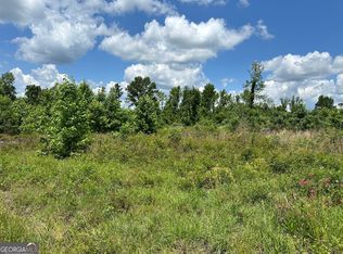 LOT 2 Rock Springs Rd, Dublin, GA 31021