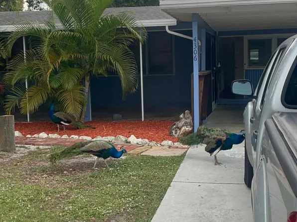 4306 Sarasota Ave, Sarasota, FL 34234