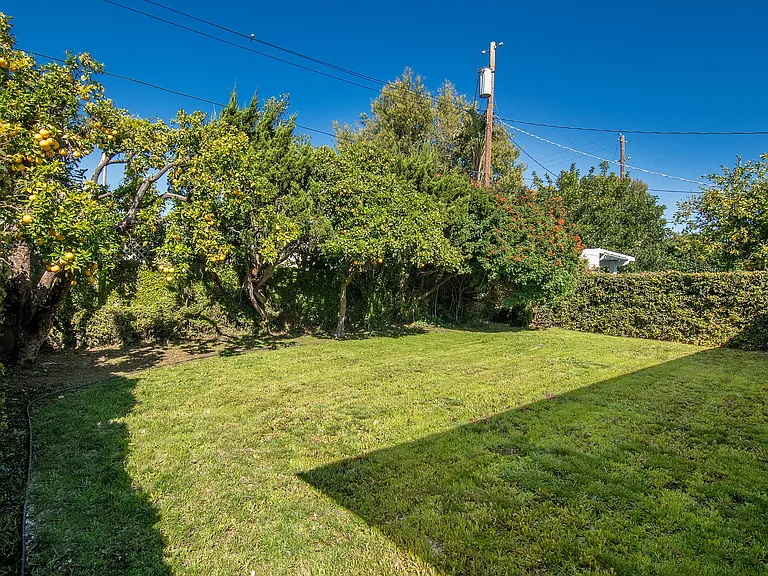 6561 Lasaine Ave — Photo 50