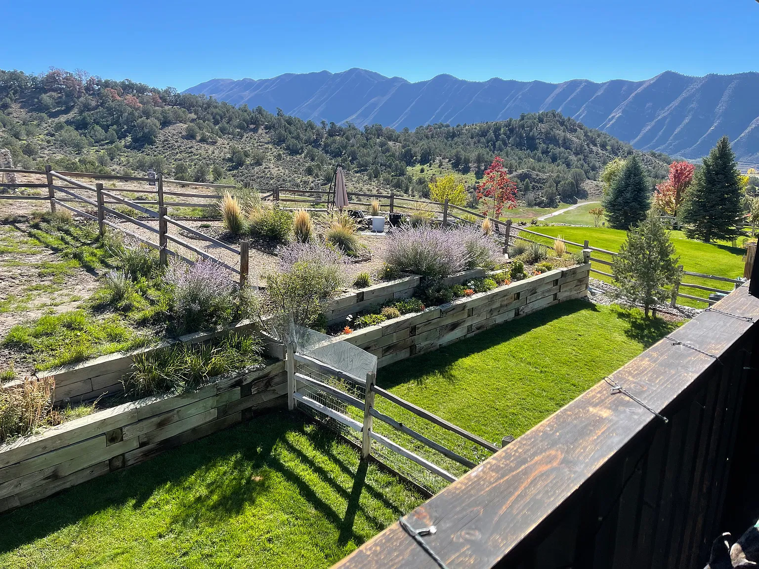 3 bed, 2.5 bath, 2080 sqft, $3,600 — Photo 1