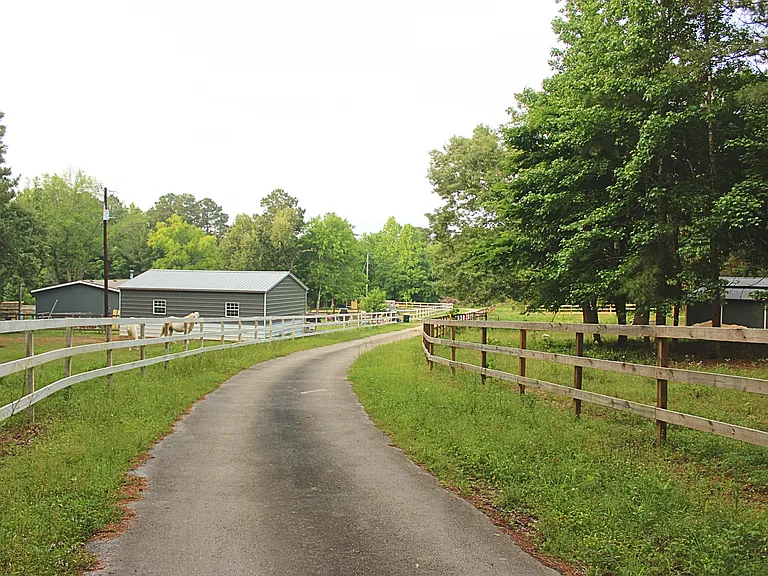 2850 County Road 233D — Photo 25