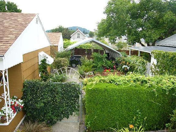 Secluded Backyard!