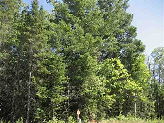 Wooded Land