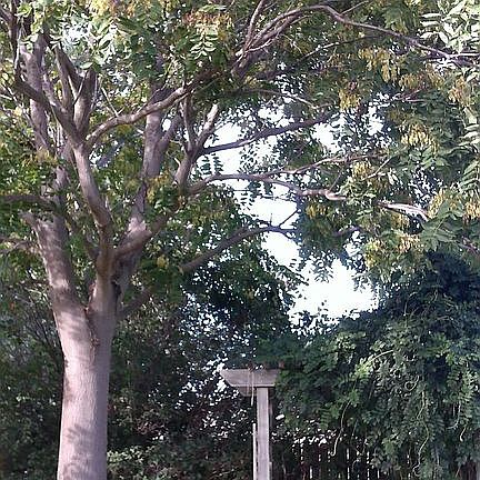 3rd image of 31 Meadow Ln