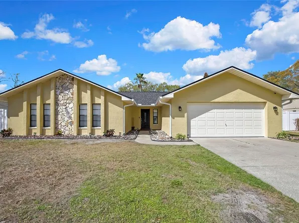 3743 Meridean Pl, Land O Lakes, FL 34639