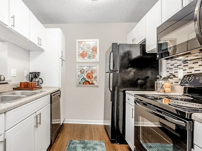 Paces Pointe Apartment Homes — Photo 71