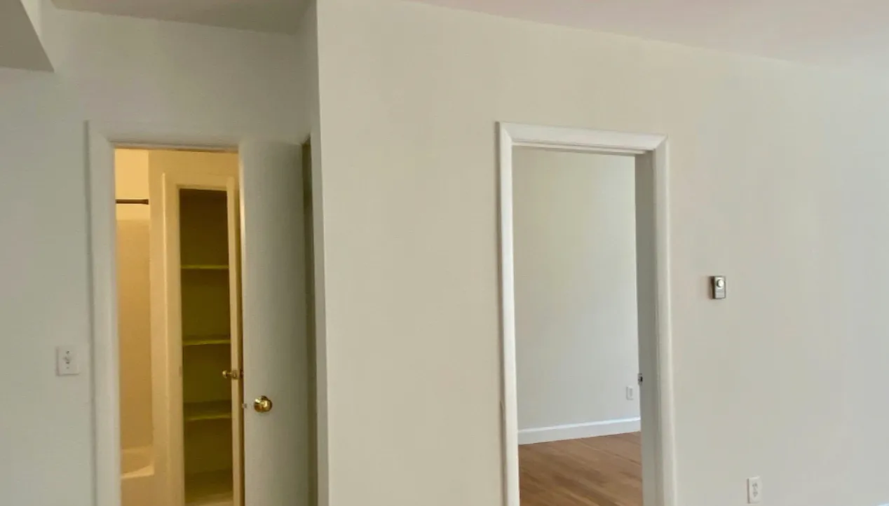 1 bed, 510 sqft, $2,950 — Photo 1