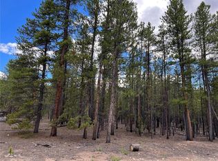 550 Juniper Dr, Leadville, CO 80461
