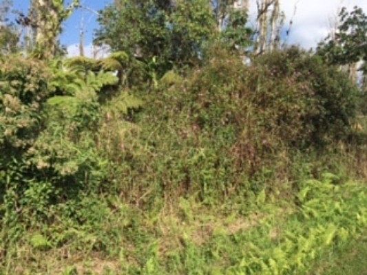 2nd image of Kumukahi Rd Lot 52