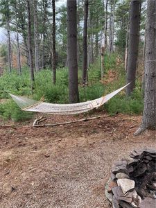 (6.5.-1-15) Swamp Pond Road Tr 37, Narrowsburg, NY, 12764