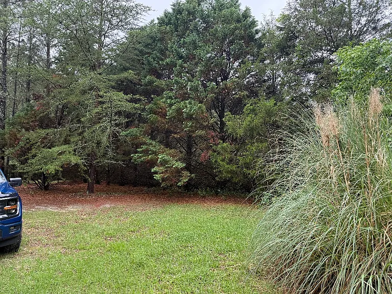 Cougar Dr — Photo 12