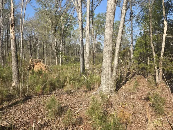 0 Mercier Road, Lincolnton, GA 30817