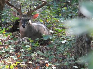 Highway 49, Tchula, MS 39169