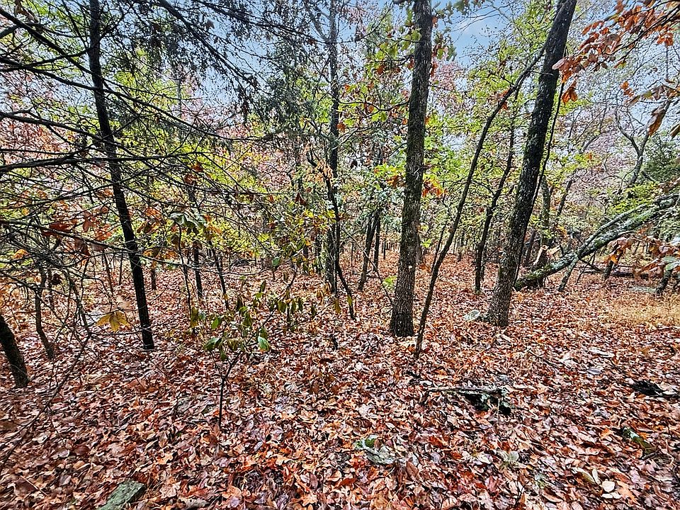 1st image of S 4545th Loop