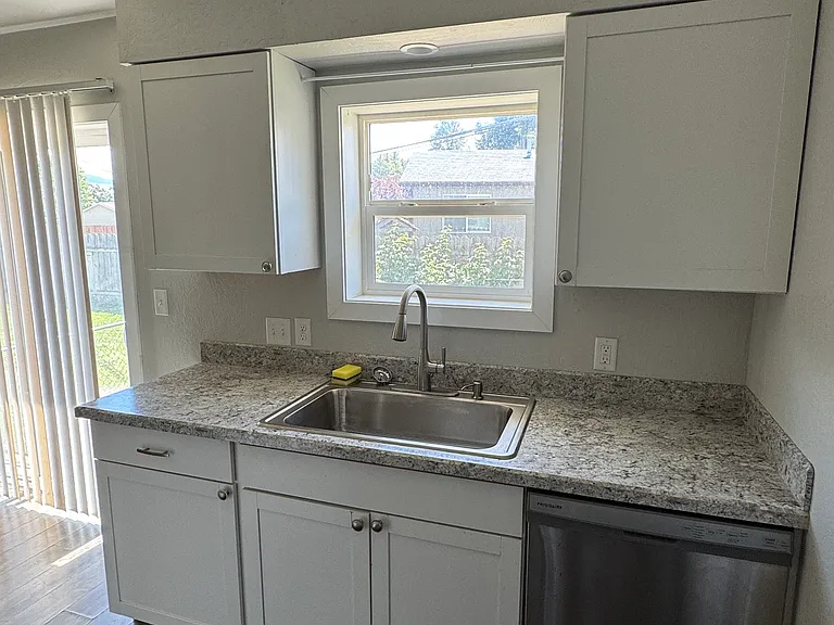 Large and deep stainless steel sink; pull-down spray faucet; dishwasher;