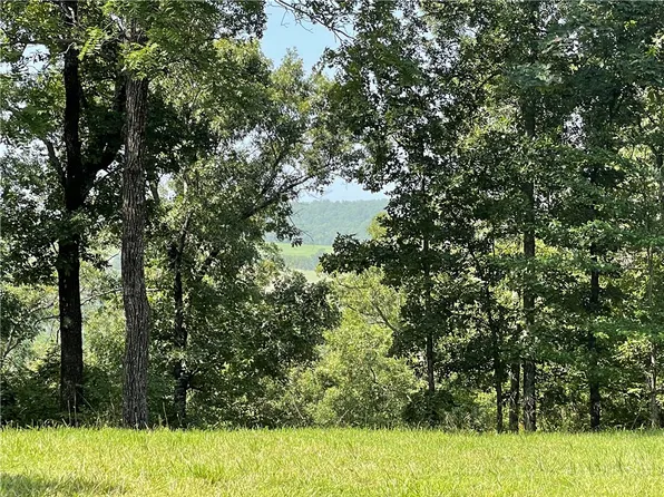 493 Madison #6180-16, Wesley, AR 72773