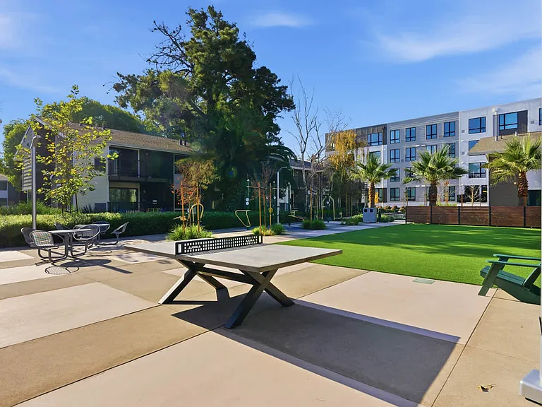 Courtyard Area