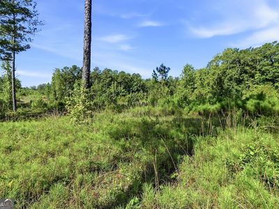 710 Giles Rd, Forsyth, GA, 31029