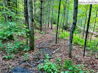 0 Crabtree Woods Rd, Spruce Pine, NC 28777