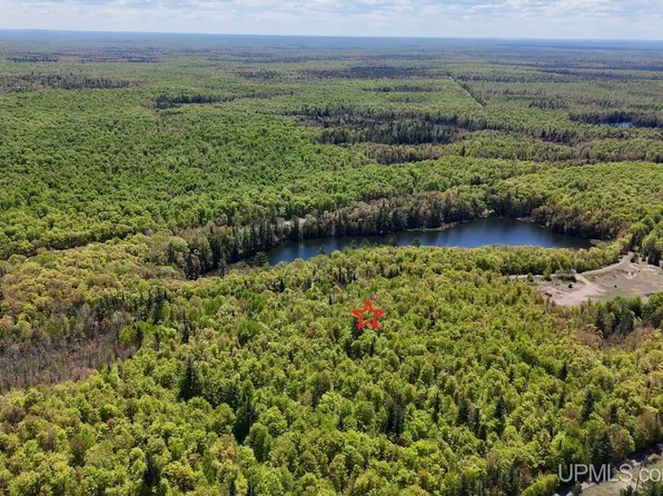 Tbdh Off Winona Rd, Toivola, MI 49965