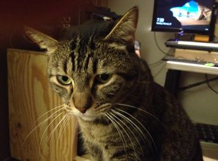 537 Temporal Canyon Rd, Patagonia, AZ 85624