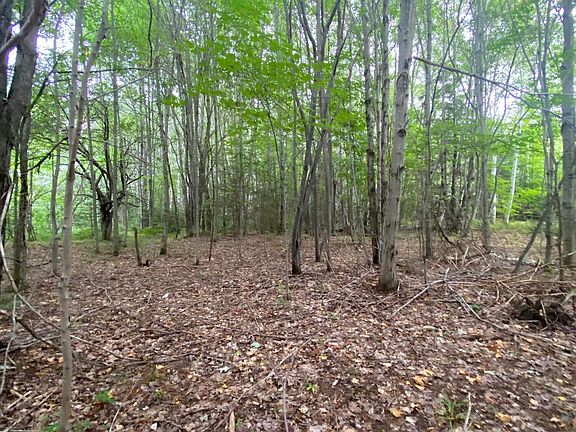 3rd image of 0 W Pendills Lake Rd