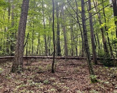 0 Mountain View Ln, Mc Caysville, GA, 30555