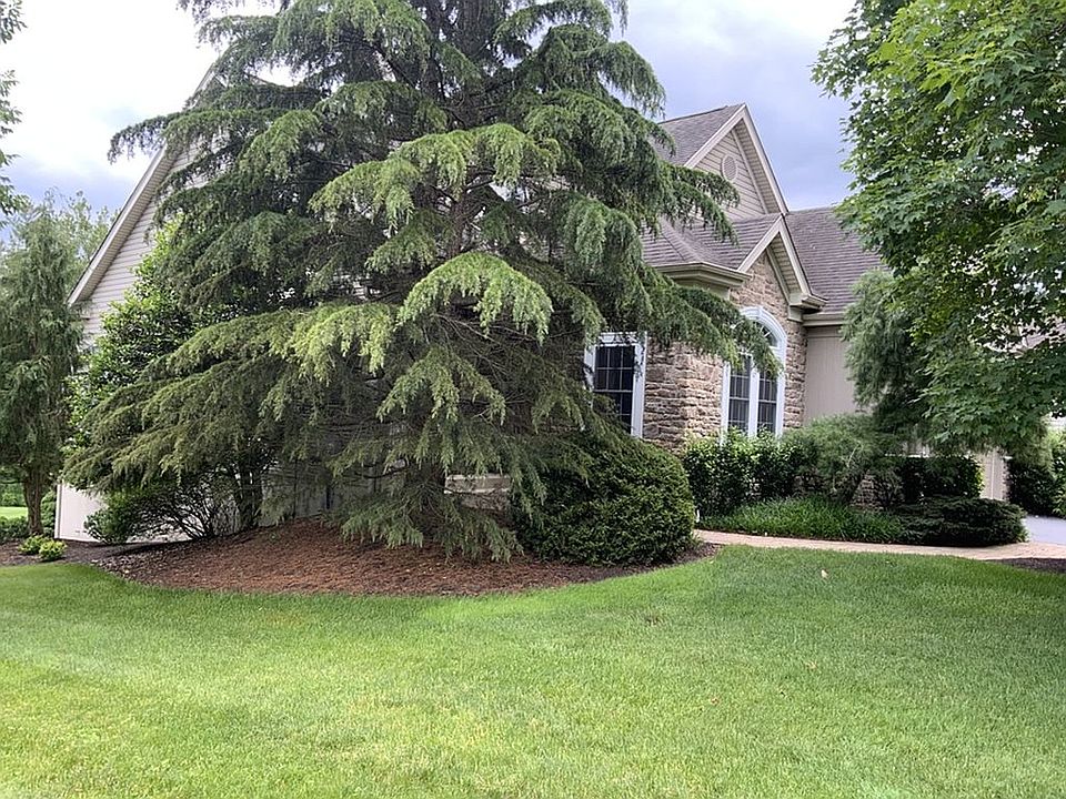 Large corner lot