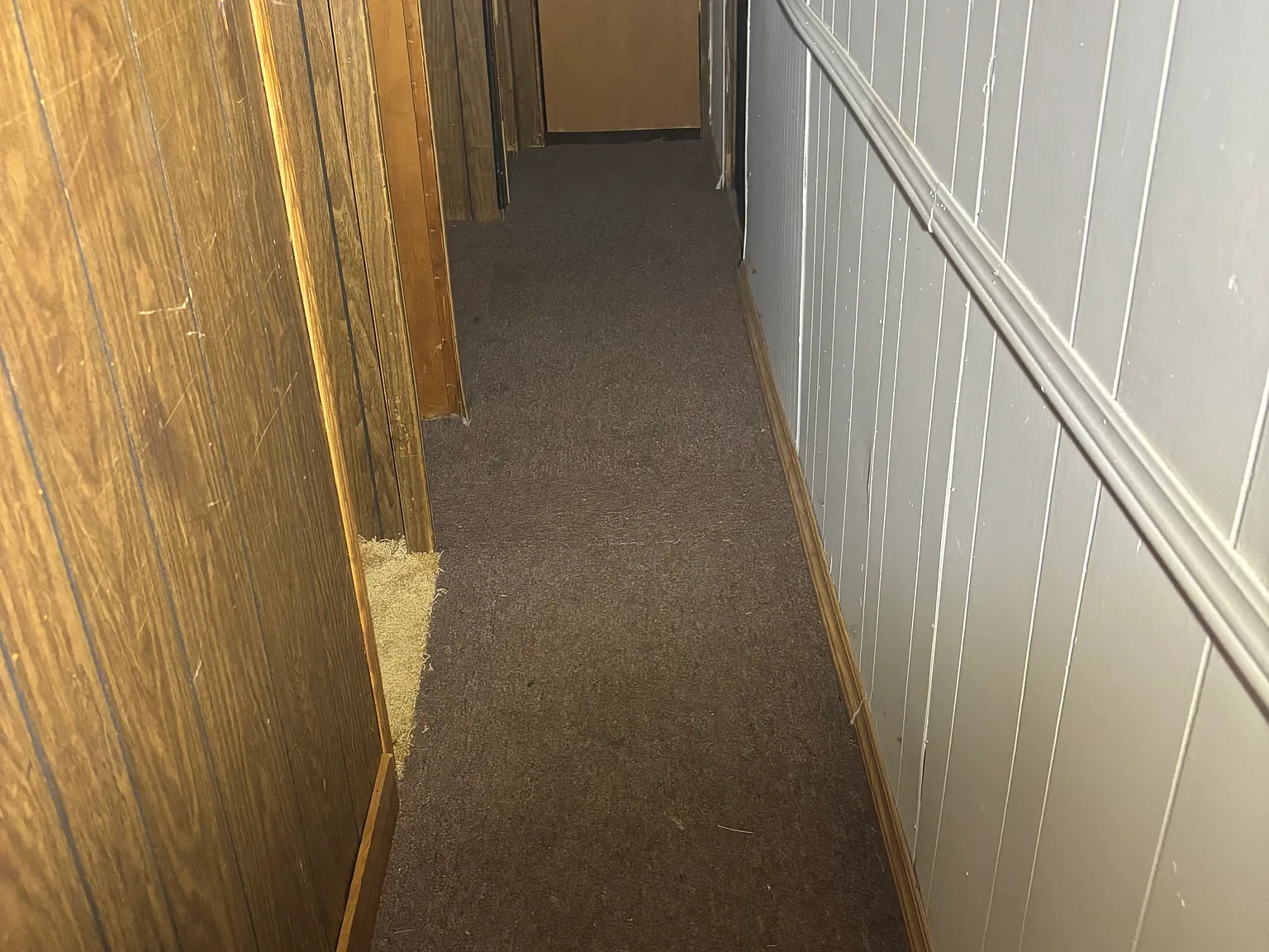 2 bed, 800 sqft, $750 — Photo 3