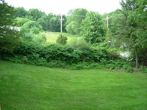 10 W Acton Rd — Photo 15