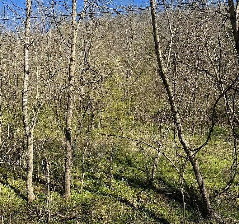 2nd image of 0 Acorn Ln Lot 3