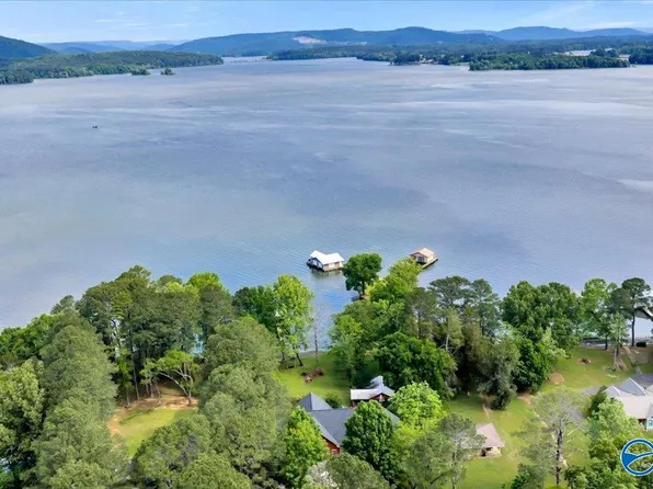 1788 Lakeshore Dr, Langston, AL 35755