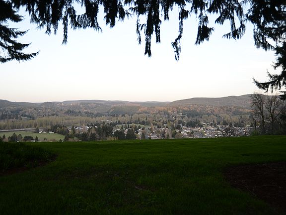 view from backyard