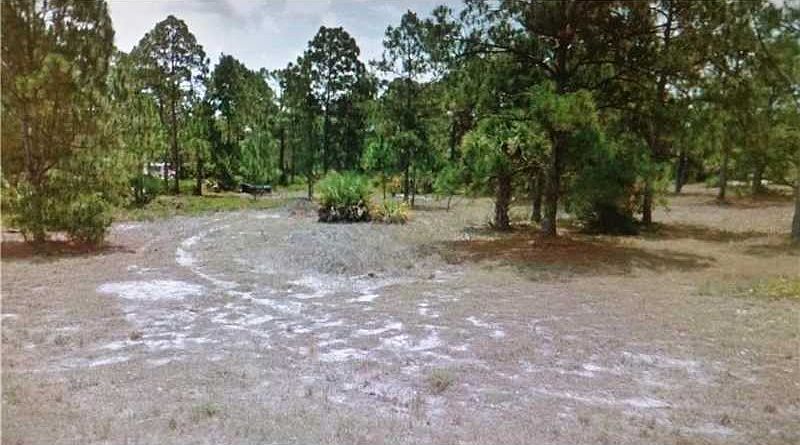 1st image of 655 E Paso Fino Cir