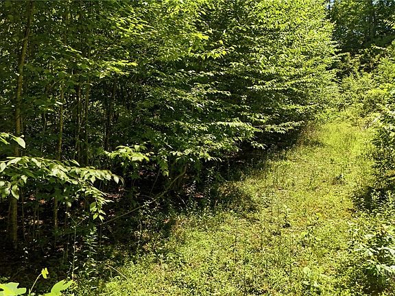 2nd image of Lot 1 Laurel Ridge Lane