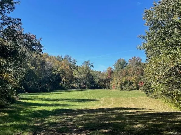 0 County Road 610, Zalma, MO 63787