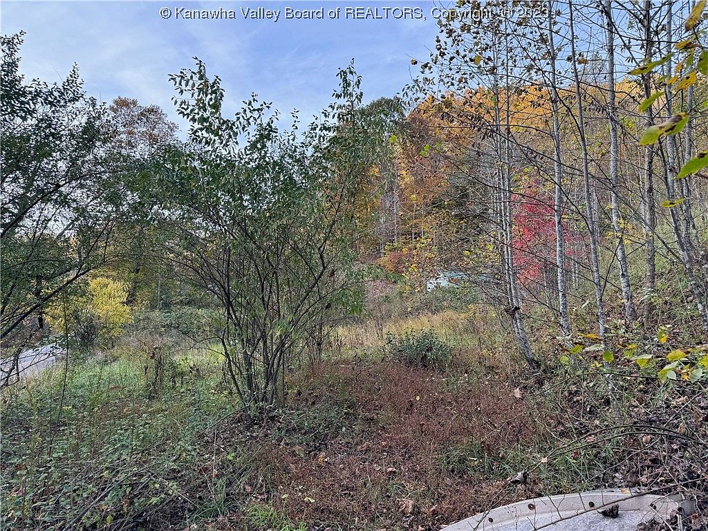0 Garrett Fork Rd, Chapmanville, WV 25508 MLS 267617 Zillow