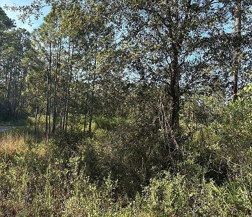 2nd image of 123 RD LANE