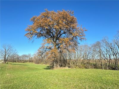 N County Road 1300e, Charleston, IL, 61920