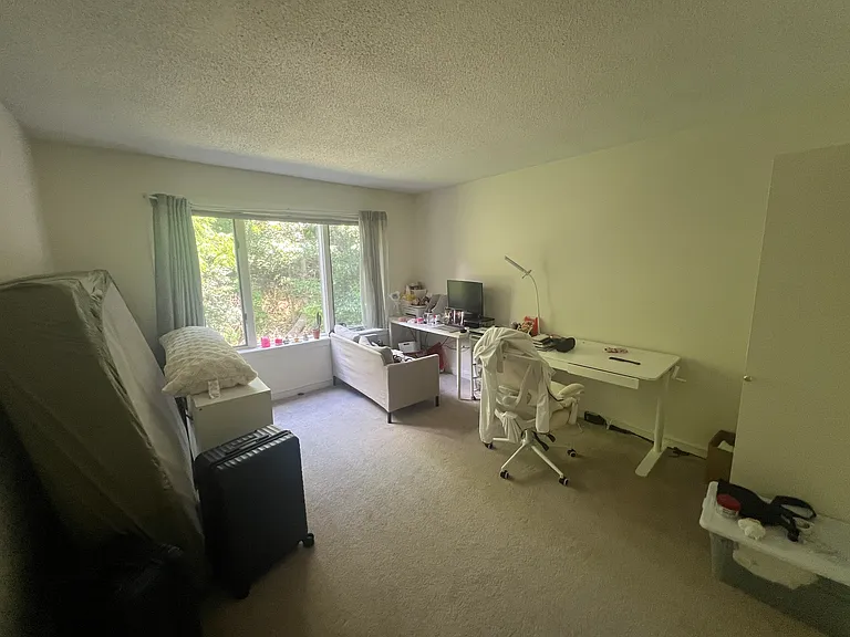 101 Rosemary St #223 — Photo 12