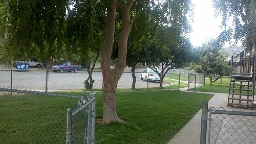 2nd image of 31 E Saginaw Way APT 102