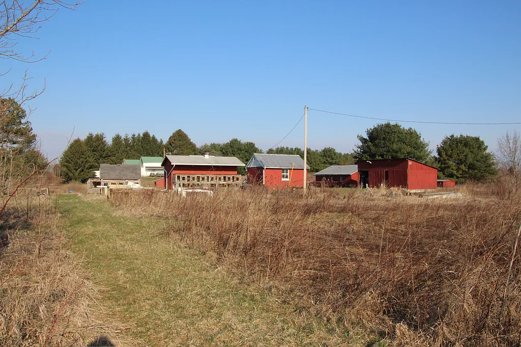 Property photo 5