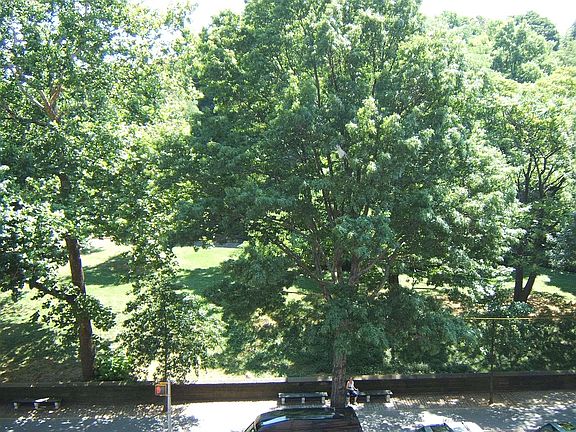 3rd image of 467 Central Park W APT 4B