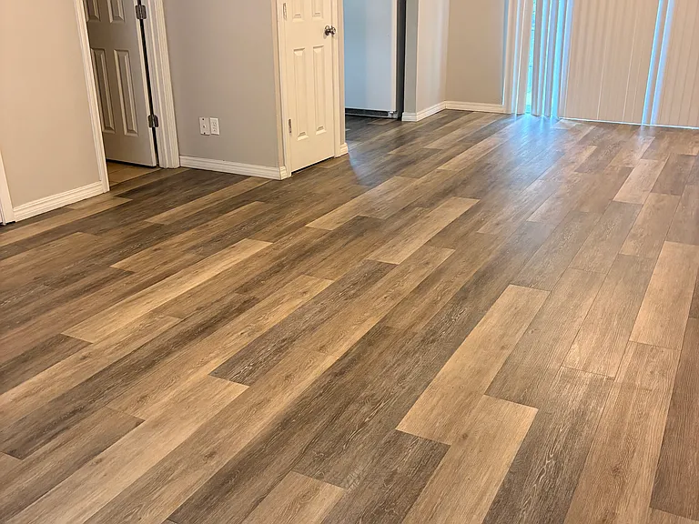 Living/Dining Area